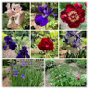 Meet your Posher, Tricia